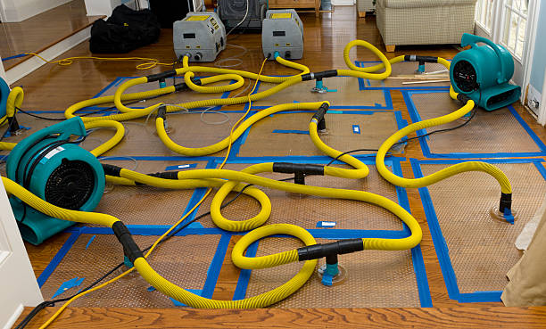 Professional Basement Flood Cleanup technician working in New Hope, AL